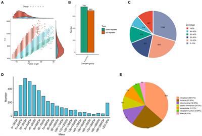 Global profiling of the proteome, phosphoproteome, and N-glycoproteome of protoscoleces and adult worms of Echinococcus granulosus